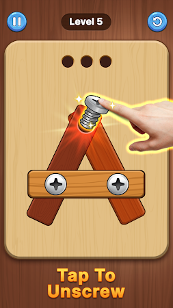 Game screenshot Screw Challenge: Nuts & Bolts mod apk