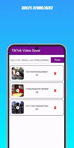 Video Downloader for Tk