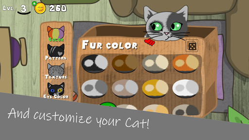 Kedi Cat Screen 3