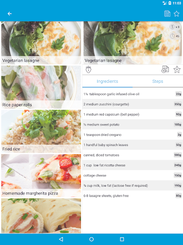 Monash University Fodmap Diet Latest Version For Android Download Apk