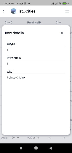 DBViewer - MS Access Viewer