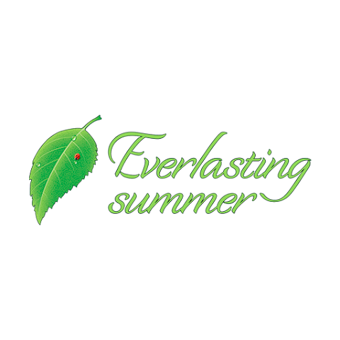 How to download Everlasting Summer for PC (without play store)