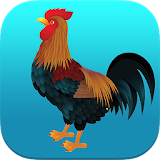 Rooster Sounds Ringtones ♪ icon