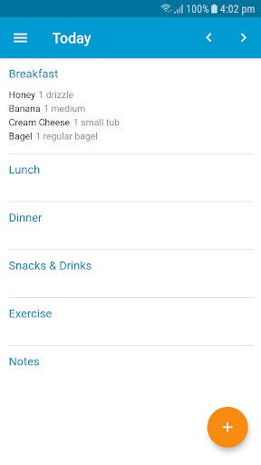Research Food Diary Screen 3