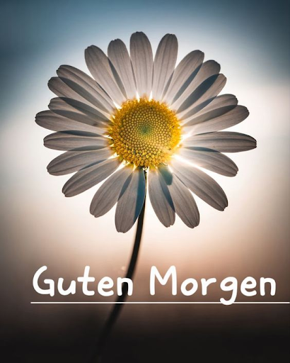 Guten Morgen Gute Nacht Bilder Screen 2