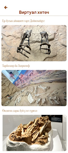 Gobi museum Screen 2