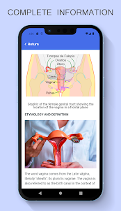 Anatomia Vaginal