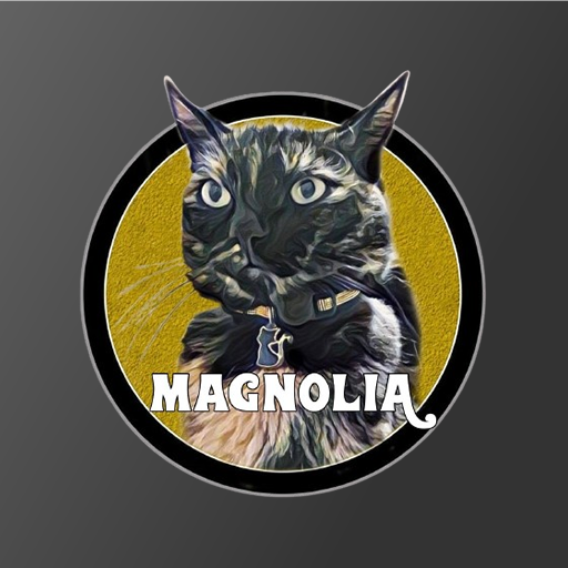 Rádio Magnolia Download on Windows