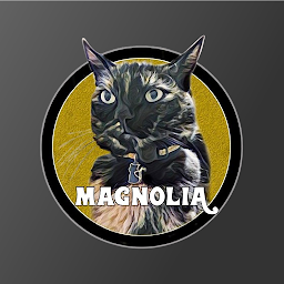 Icon image Rádio Magnolia