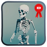 Skeleton Walk Cycle LWP icon