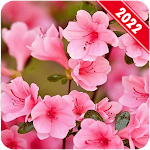 Cover Image of Download Spring Wallpaper 1.0.3 APK