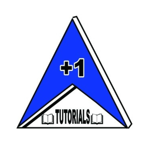 Plus One Tutorials logo