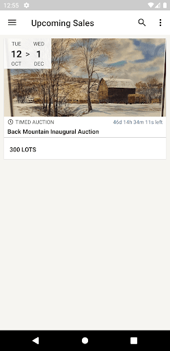 Screenshot of Back Mountain Auctions