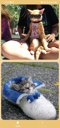Android application Cats Feed screenshort