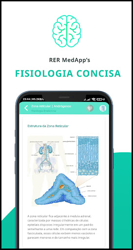 Visualização do aplicativo