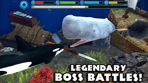 Screenshot 13