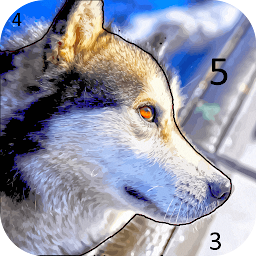 Magic Color | Paint by Number Mod Apk