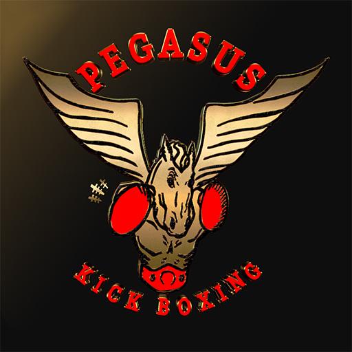 Pegasus Studio logo