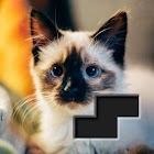 Block Square Jigsaw Puzzle 1.2.1