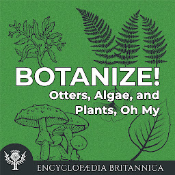 Icon image Otters, Algae, and Plants, Oh My