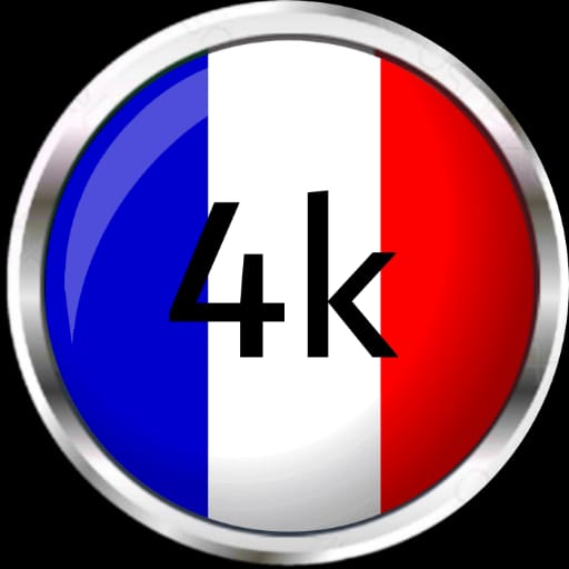 flag of France logo
