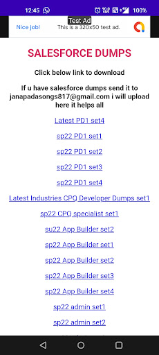 Salesforce DUMPS Screen 2