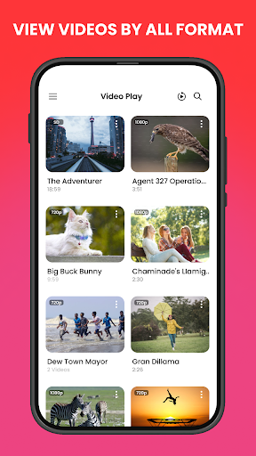 Video Player - All Format Screen 2