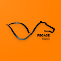Download PEGASE Propret 1.22.0 Apk for android
