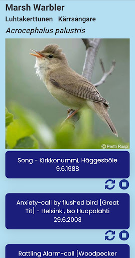 BirdSoundFinland Screen 3