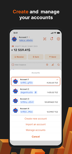 Temple - Tezos Wallet Screen 3