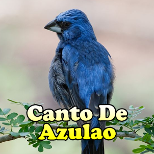 Canto De Azulao Parana
