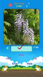꽃길 Korean Flower Name Game