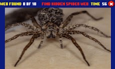 Spider Hidden Differenceのおすすめ画像3