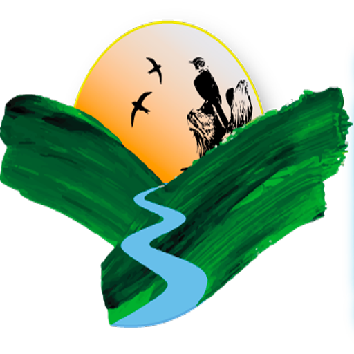 Questionário Cipó logo