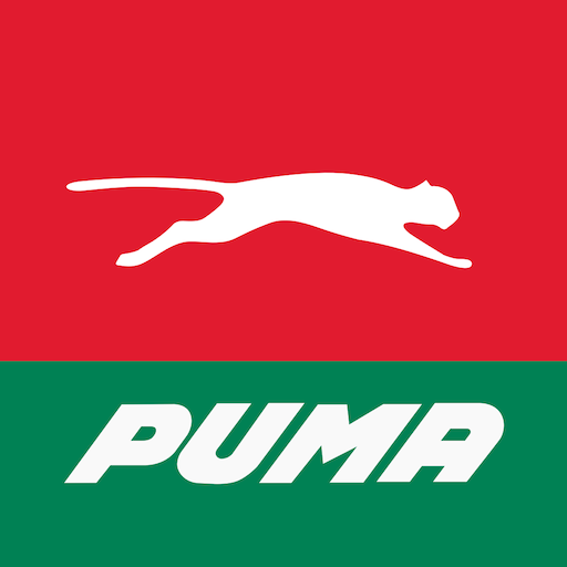 Puma FastPay 22.10.12 Icon