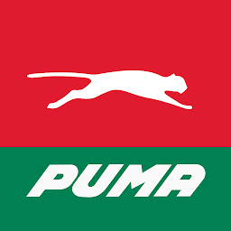 Ikonbilde Puma FastPay
