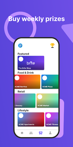 Brite Mobile Screen 3
