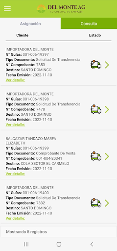 DESPACHOS DEL MONTE AG Screen 2