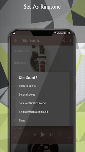 Sitar Sounds Screen 2