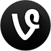 Vine Icon