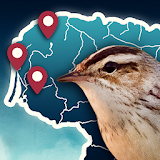 Birds' Routes icon
