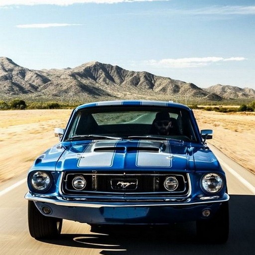 American Muscle Car Wallpapers logo