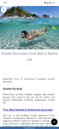 Bermuda.com Screen 3
