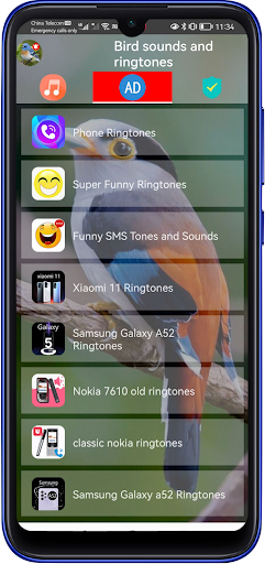 Bird Sounds And Ringtones Screen 2