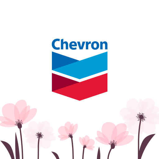 Chevron 4.3.1 Icon