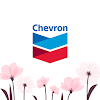 Chevron icon