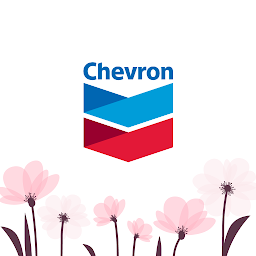 Icon image Chevron