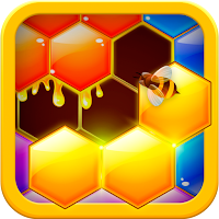 Hexa Hive Puzzle  hexagon block game