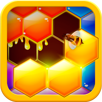 Hexa Hive Puzzle : hexagon block game