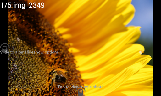 Digital Photo Frame Slideshow Screen 2